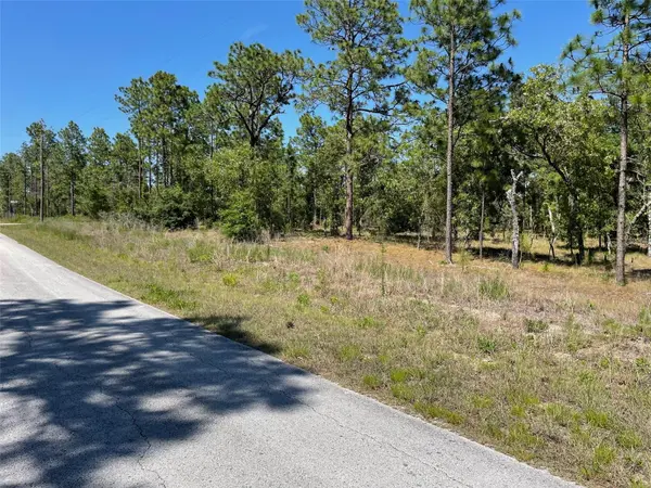 LOT 1 NW MANDRAKE DR, Dunnellon, FL 34431