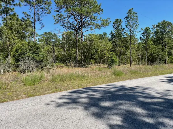LOT 1 NW MANDRAKE DR, Dunnellon, FL 34431