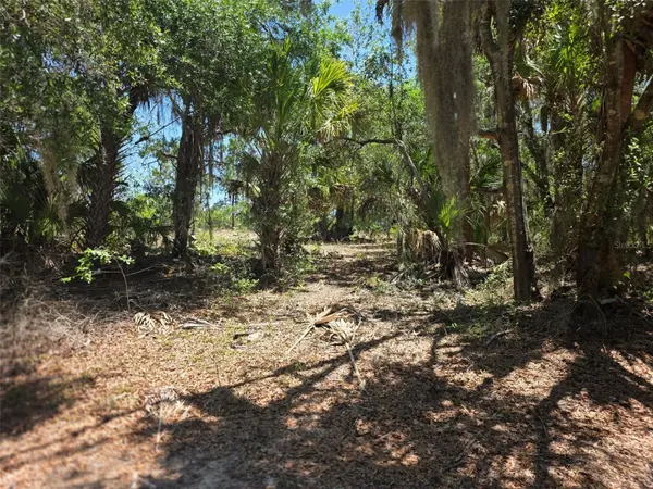 11837 N CAPTIVA TER, Dunnellon, FL 34433