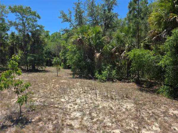 11837 N CAPTIVA TER, Dunnellon, FL 34433
