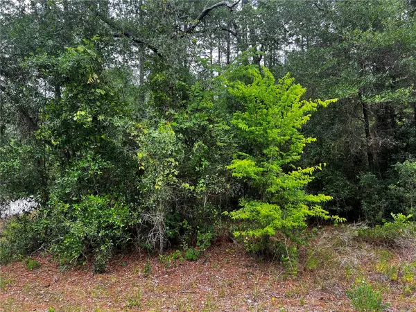 TBD SW 186TH CT., Dunnellon, FL 34432