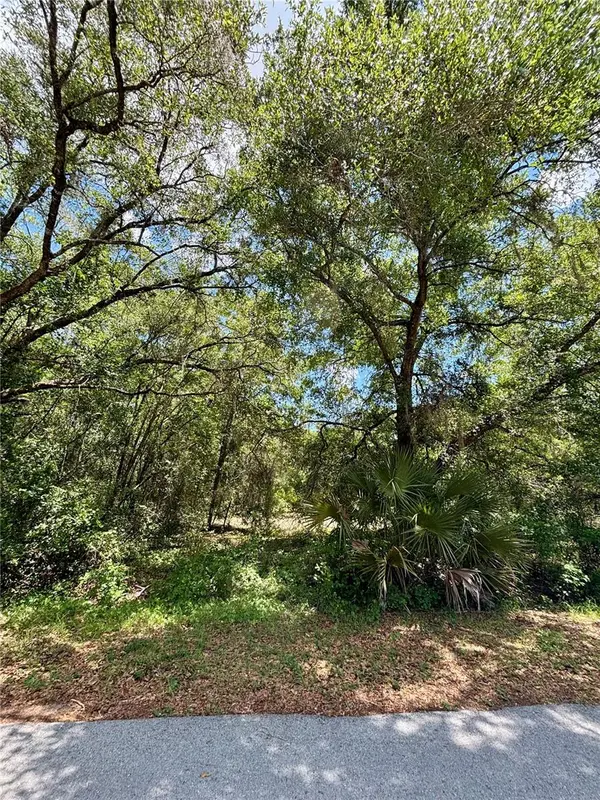 Lot 15 SW SHOREWOOD DR, Dunnellon, FL 34431