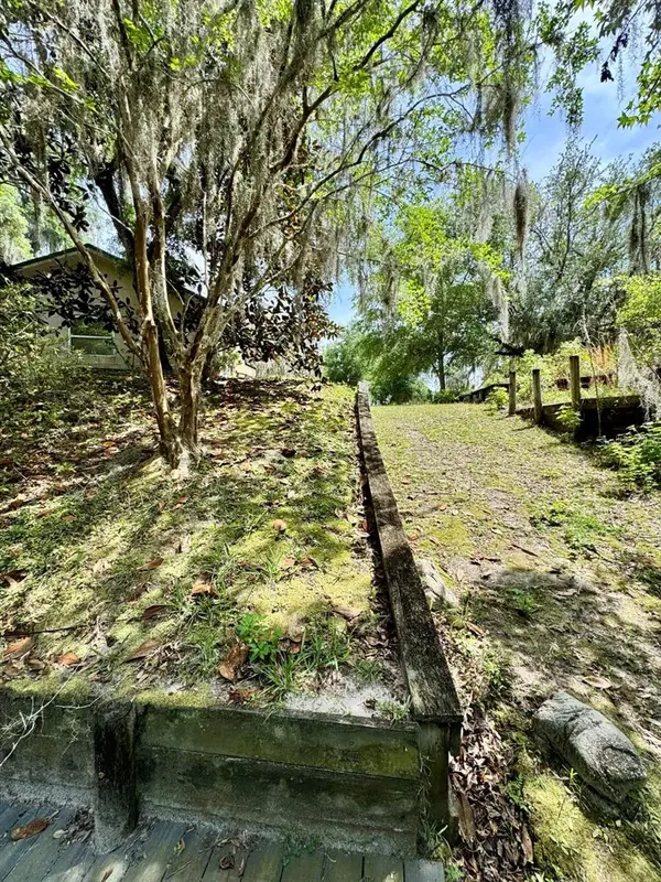30391 NE 97TH PL, Salt Springs, FL 32134