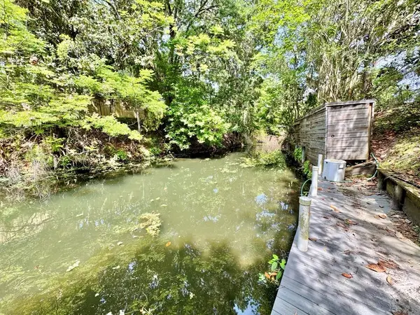 30391 NE 97TH PL, Salt Springs, FL 32134