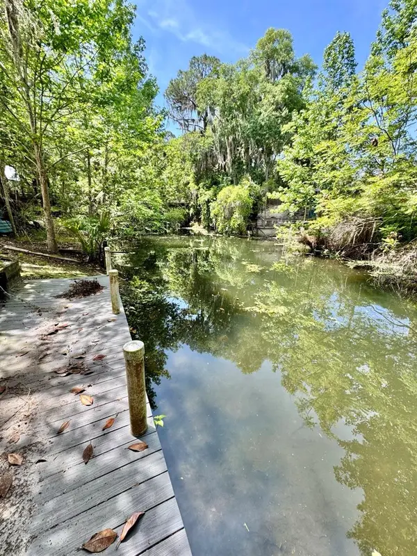 30391 NE 97TH PL, Salt Springs, FL 32134