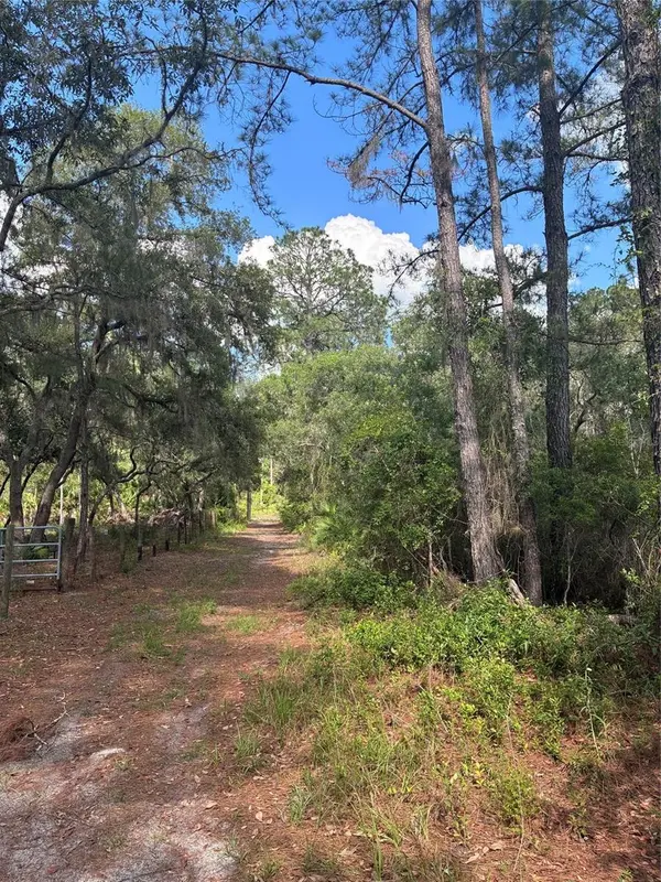 16464 NE 35 RD, Citra, FL 32113