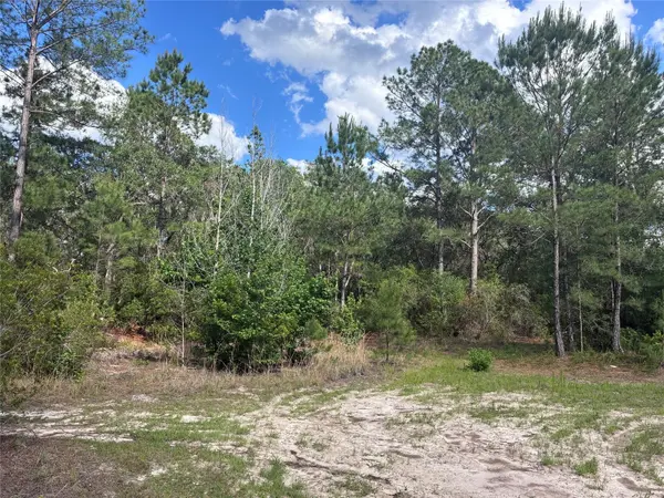 16464 NE 35 RD, Citra, FL 32113