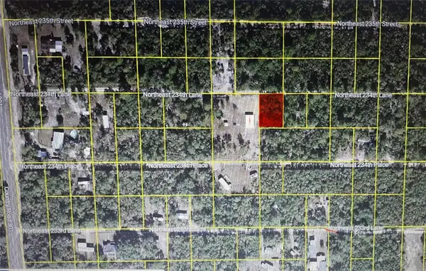 TBD NE 234TH LN, Fort Mc Coy, FL 32134