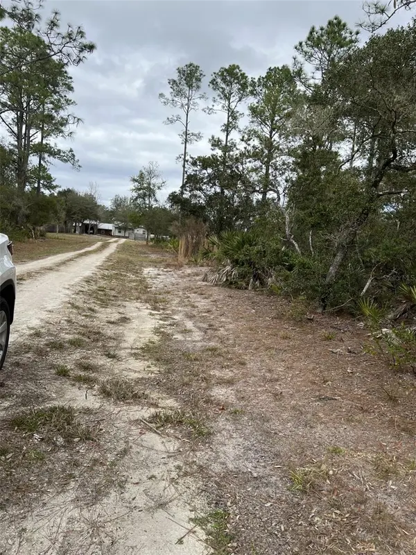 0 NE 144 CT, Fort Mc Coy, FL 32134