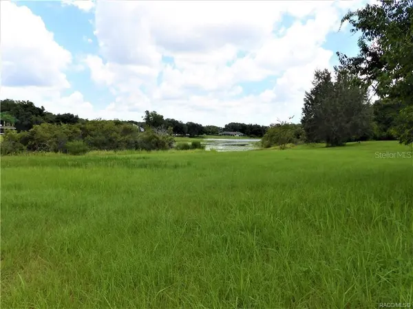 9546 E BAYMEADOWS DR, Inverness, FL 34450