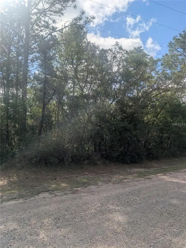 8791 N FOLLAND DR, Dunnellon, FL 34433