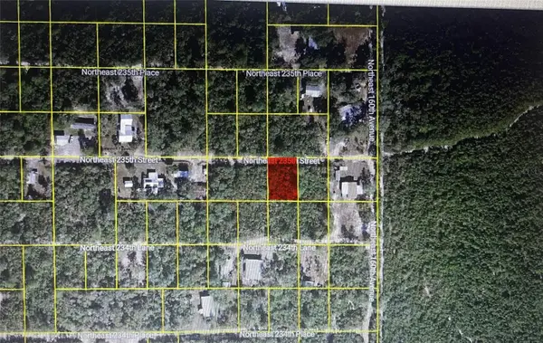 TBD NE 235TH STREET, LOT 19, Fort Mc Coy, FL 32134