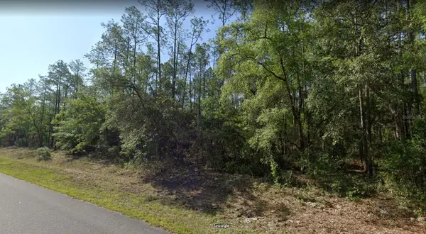 546 E BIMINI DR, Dunnellon, FL 34434