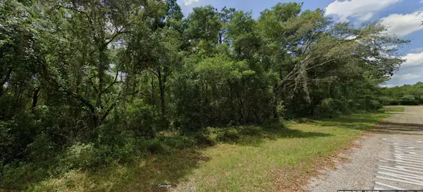 282 W WHITMARSH CT, Dunnellon, FL 34434