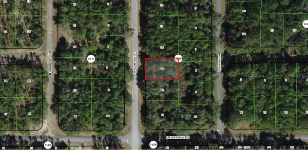 9085 N ALAMEDA DR, Citrus Springs, FL 34434