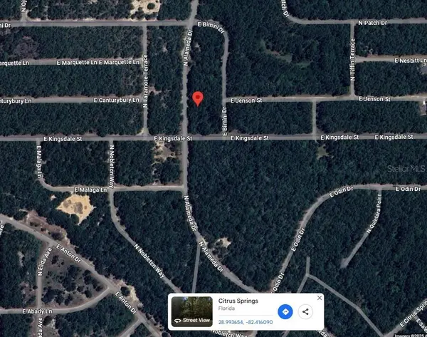 9085 N ALAMEDA DR, Citrus Springs, FL 34434