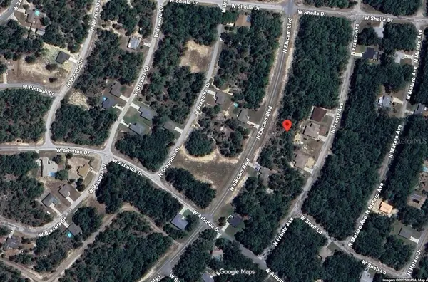 10697 N ELKCAM BLVD, Citrus Springs, FL 34433