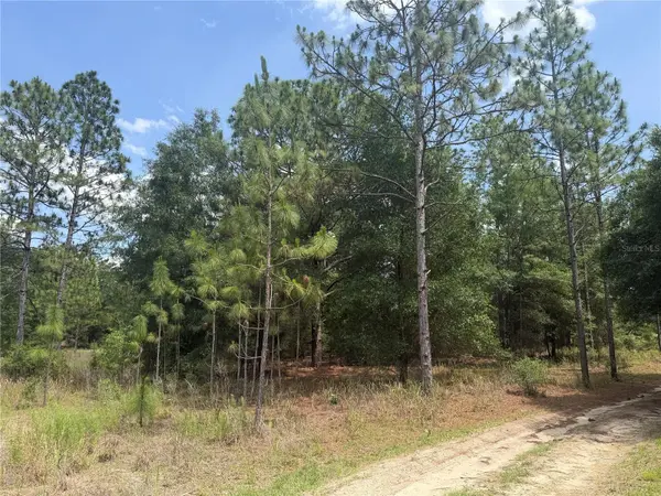 TBD SW 145TH CT, Ocala, FL 34482