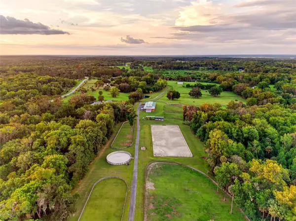 7000 NW HWY 320, Micanopy, FL 32667
