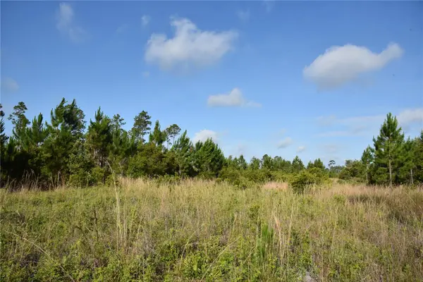 22370 NE 130TH AVE, Fort Mc Coy, FL 32134