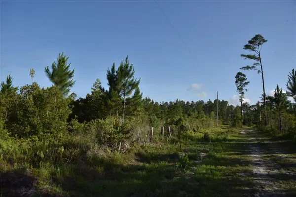 22370 NE 130TH AVE, Fort Mc Coy, FL 32134