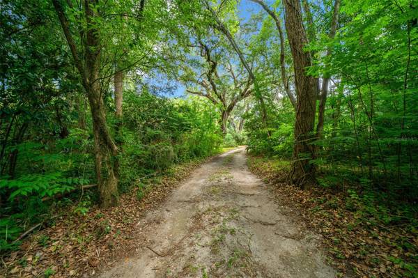 1985 NE 97TH STREED RD, Anthony, FL 32617