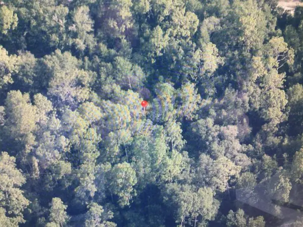 0 SW 153 LN, Dunnellon, FL 34432
