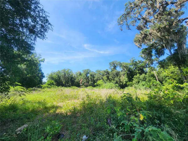 TBD 97TH STREET RD, Anthony, FL 32617