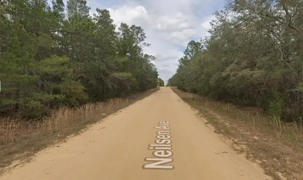NEILSON AVE, Interlachen, FL 32148