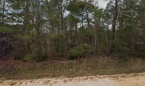 NEILSON AVE, Interlachen, FL 32148
