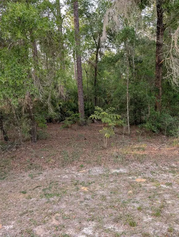 15475 SW 36TH ST, Ocala, FL 34481