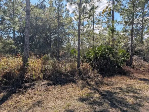 711 AZALEA DR, Indian Lake Estates, FL 33855