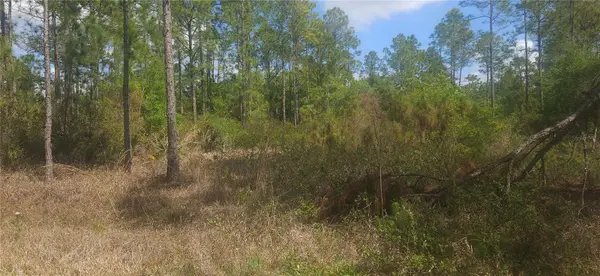 408 PANDORA DR, Indian Lake Estates, FL 33855