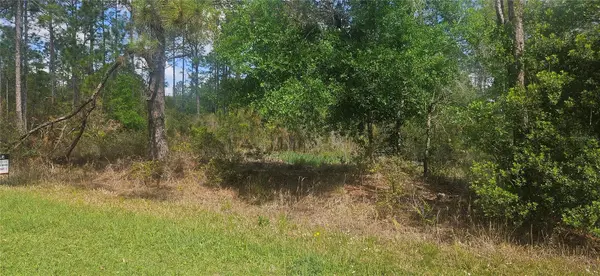 408 PANDORA DR, Indian Lake Estates, FL 33855