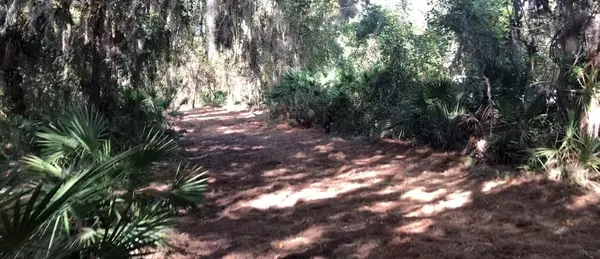 LAKE REEDY BLVD N, Frostproof, FL 33843