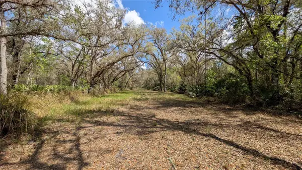GILLETTE RD, Zolfo Springs, FL 33890