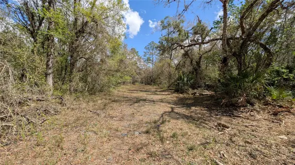 GILLETTE RD, Zolfo Springs, FL 33890