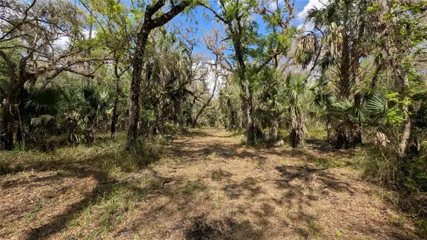 GILLETTE RD, Zolfo Springs, FL 33890