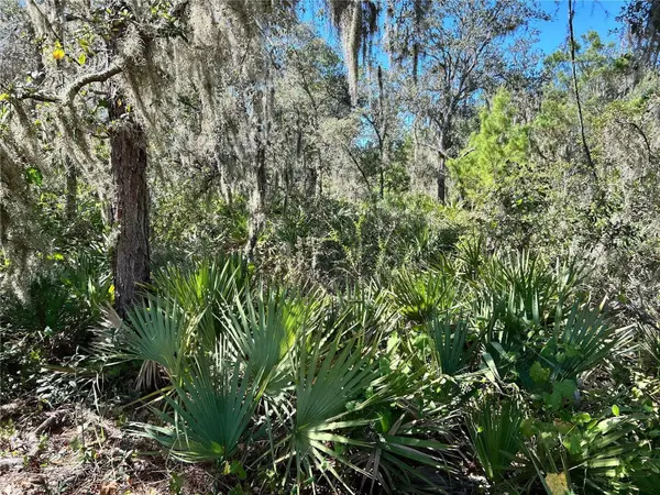 WOODSTORK WAY, Frostproof, FL 33843