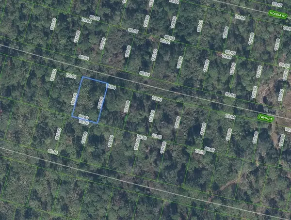 8705 PAVIA ST, Sebring, FL 33872