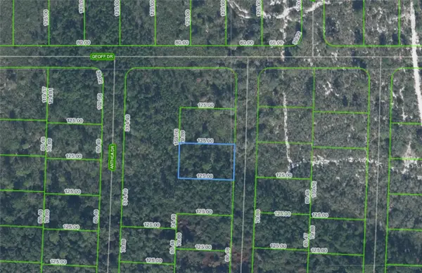 6316 ALICIA DR, Sebring, FL 33872
