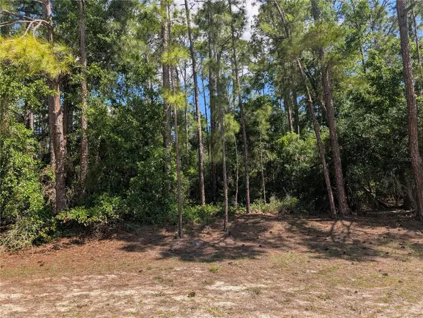 1114 PLUMOSA DR, Indian Lake Estates, FL 33855