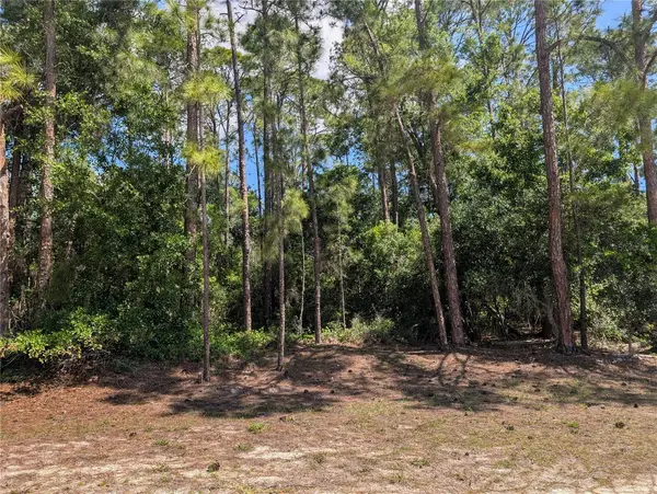 1114 PLUMOSA DR, Indian Lake Estates, FL 33855