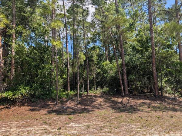 1114 PLUMOSA DR, Indian Lake Estates, FL 33855