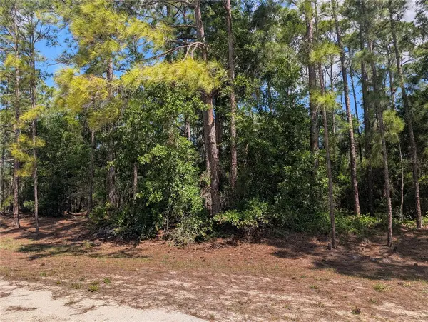 1114 PLUMOSA DR, Indian Lake Estates, FL 33855