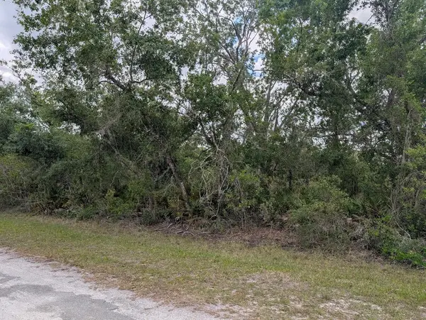 1009 AZALEA DR, Indian Lake Estates, FL 33855
