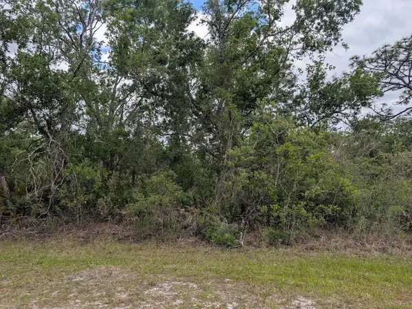 1009 AZALEA DR, Indian Lake Estates, FL 33855