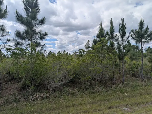 ALTHEA DR, Indian Lake Estates, FL 33855