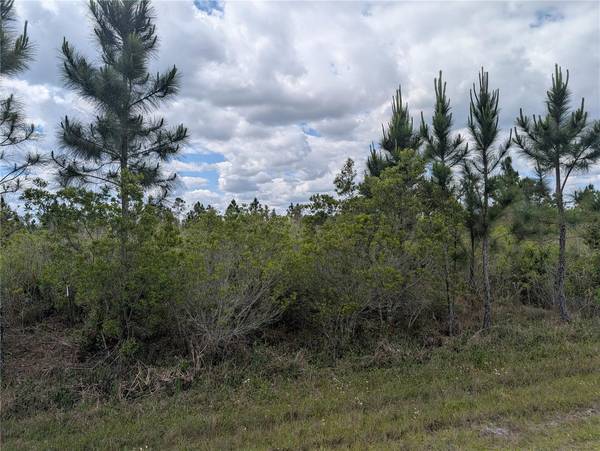ALTHEA DR, Indian Lake Estates, FL 33855