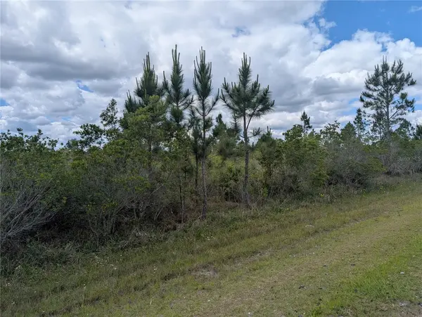 ALTHEA DR, Indian Lake Estates, FL 33855